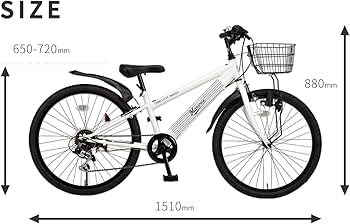 千葉ロッテマリーンズ×GP(ジーピー) ジュニア マウンテンバイク 24インチ 自転車 シマノ6段変速  [ダイナモライト/ワイヤーバスケット/後輪リング錠標準装備] GPCL003 54292 ホワイト